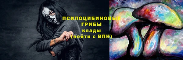 хмурый Армянск