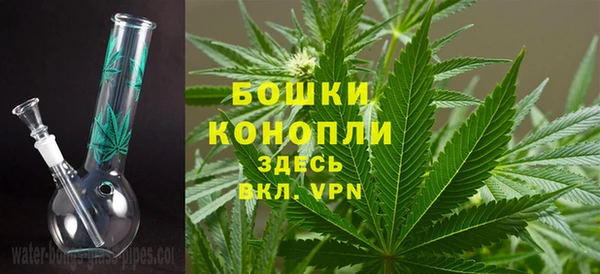 СК Аркадак