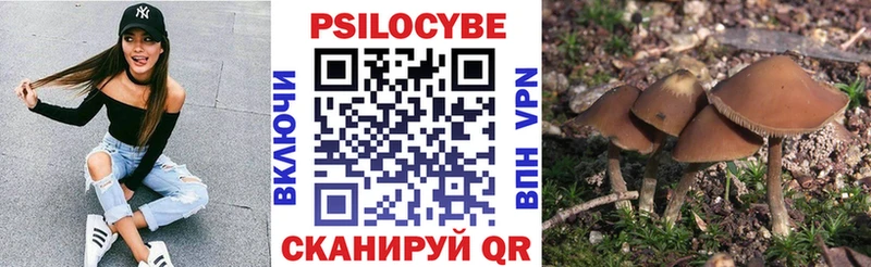 OMG ссылки Николаевск сайты даркнета наркотические препараты Псилоцибиновые грибы прущие грибы